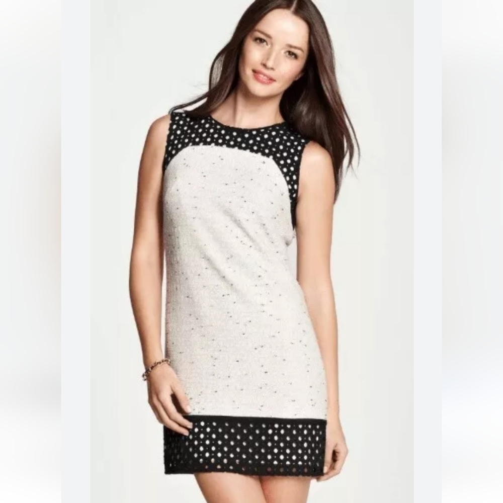 ANN TAYLOR tweed dot sleeveless dress 4